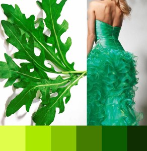 AA  FOREMMA   PRASINO